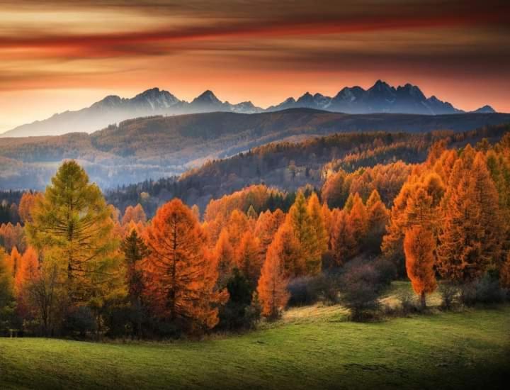 Tatry Panorama Apartmany Tatragolf Татранська Ломниця Екстер'єр фото